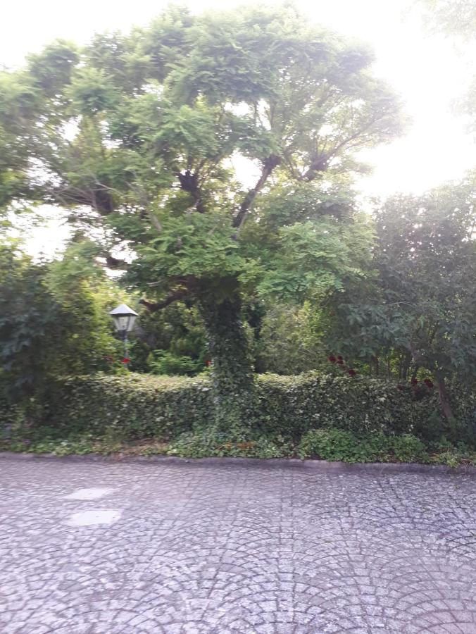 Il Casale Falagario Stacca Villa Altamura Dış mekan fotoğraf