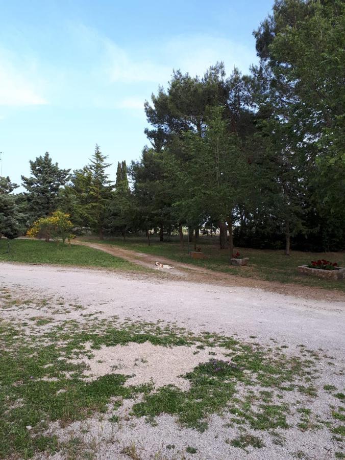 Il Casale Falagario Stacca Villa Altamura Dış mekan fotoğraf